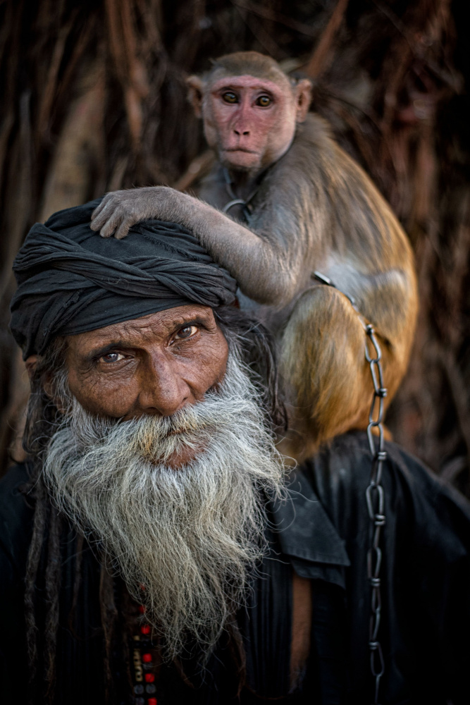 Monkey &amp; Sadhu von Vivek Kalla