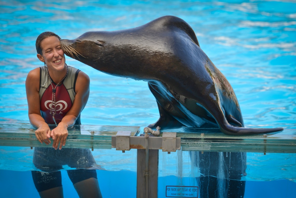 Sea Lion Love von Vlad Cioplea