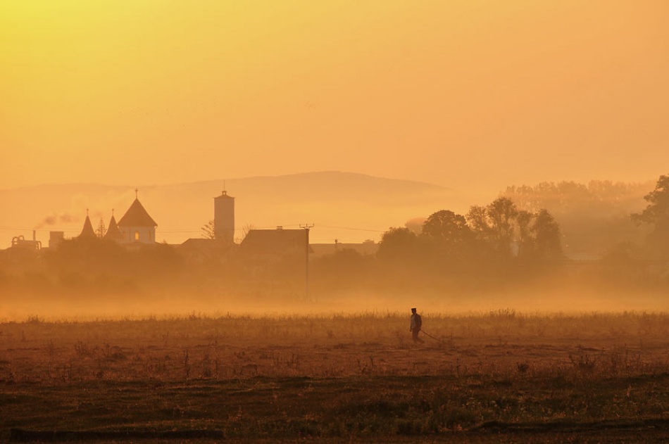 barbatul matinal (the morning man) von Vlad Dumitrescu