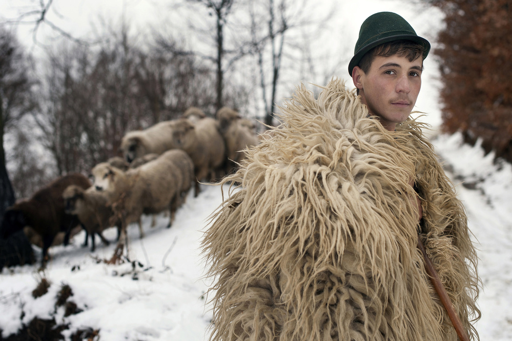 the young shepherd von Vlad Dumitrescu