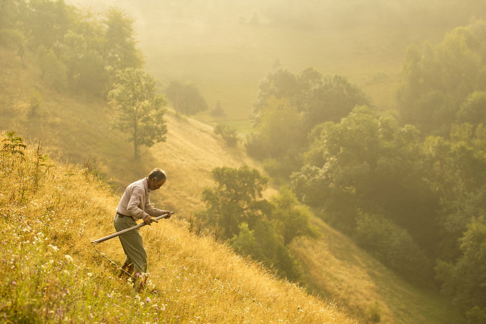 matinal cu coasa (early moment with scythe) von Vlad Dumitrescu