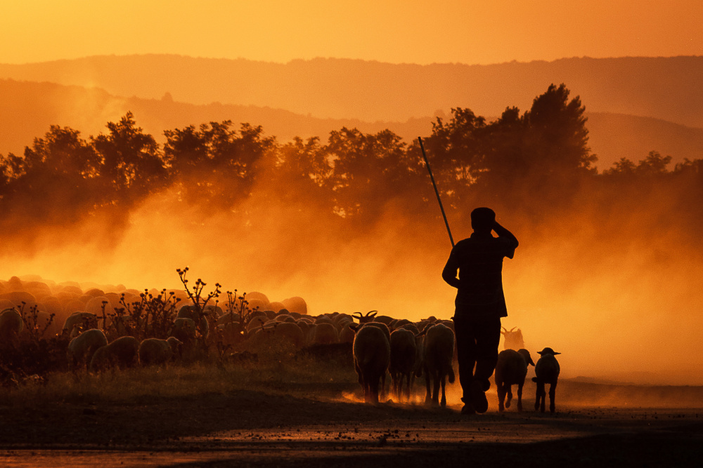 The Fire Shepherd von Vlad Ioan