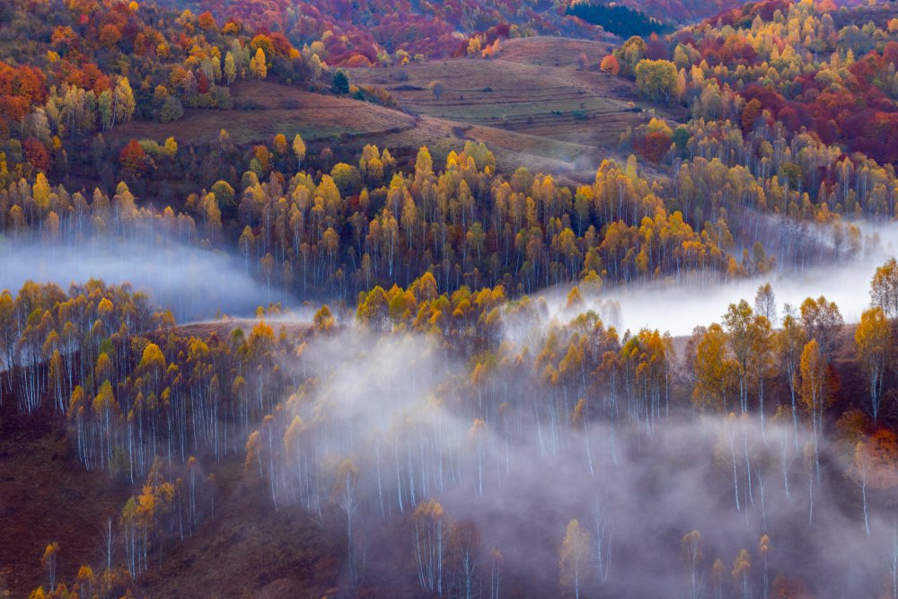 Autumn vibes in the morning von Vlad Marius Ciobanu