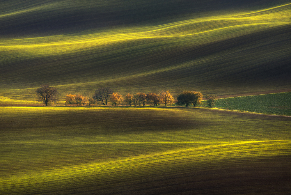 Threads of Light von Vlad Sokolovsky