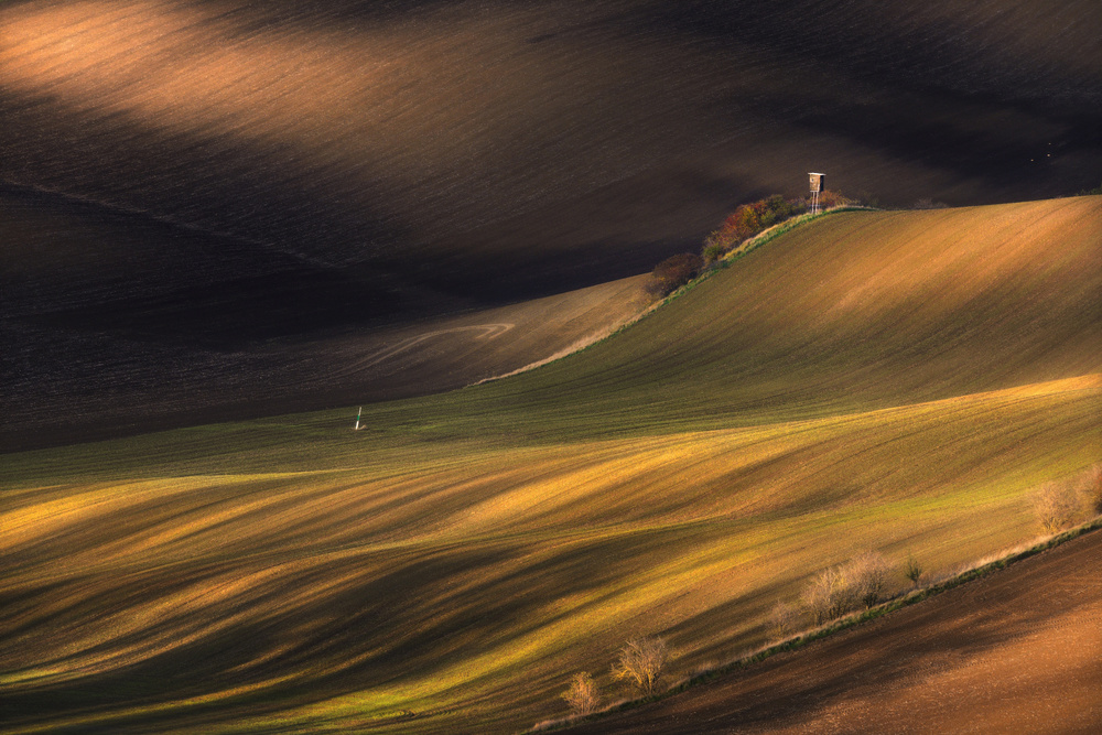 Fertile land .. von Vlad Sokolovsky