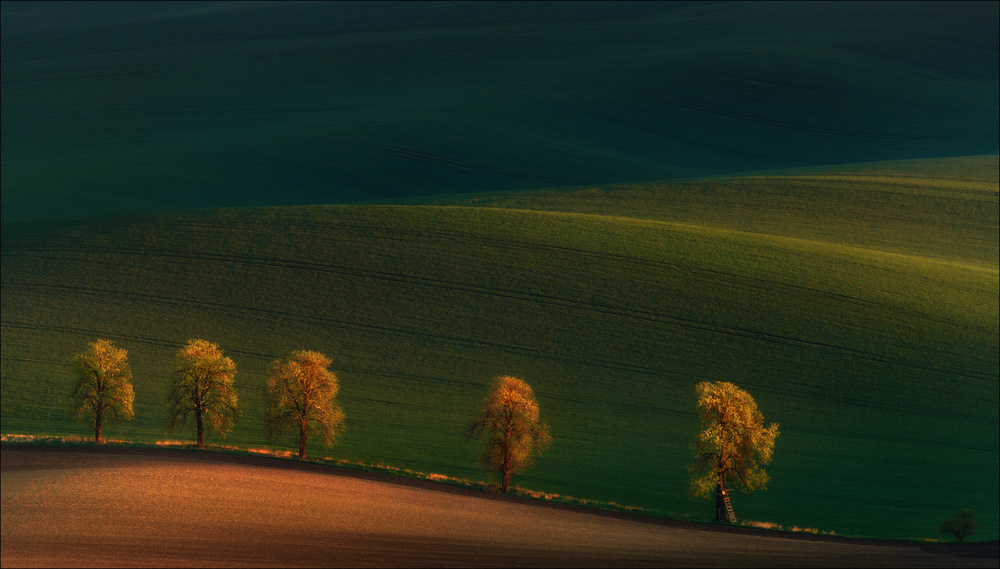 Shadows on the fields.... von Vlad Sokolovsky