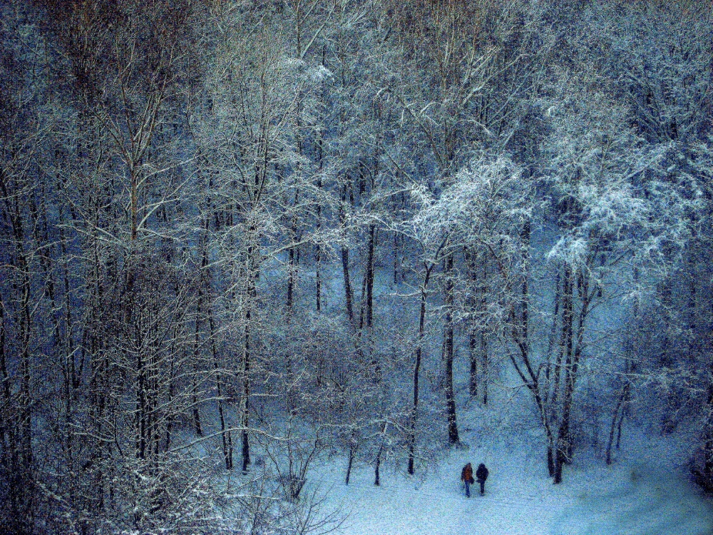 Blue Winter von Vladimir Asriyan