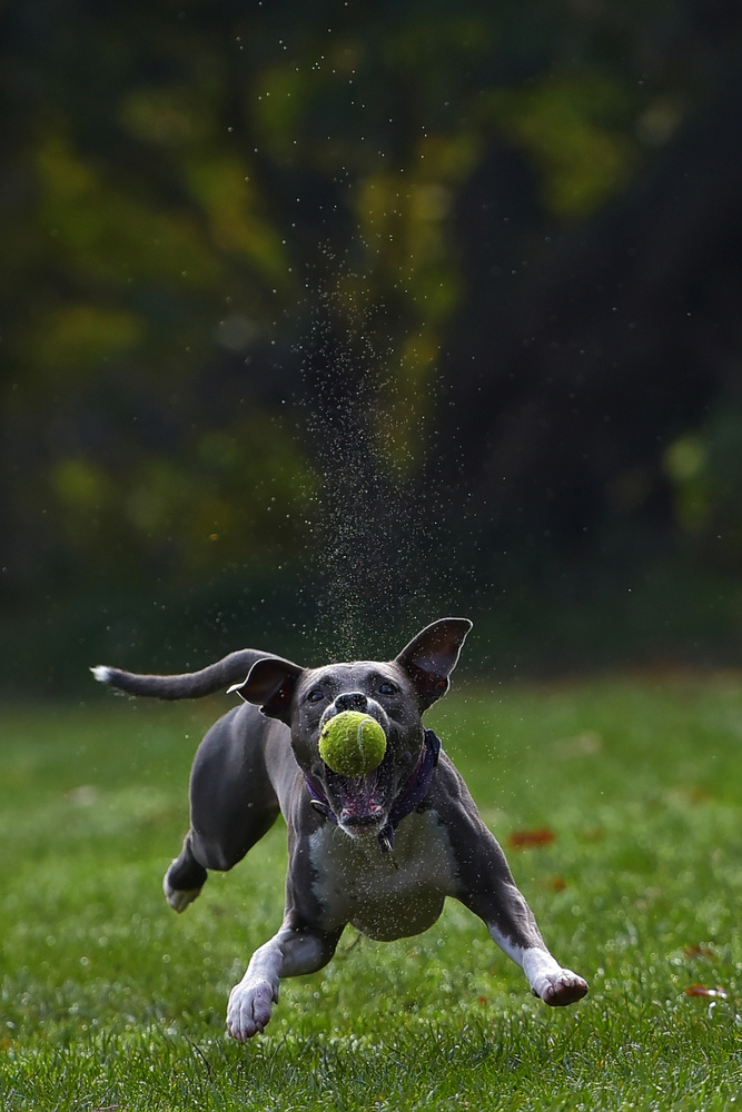 Catch the moment. von Davorin Volavšek