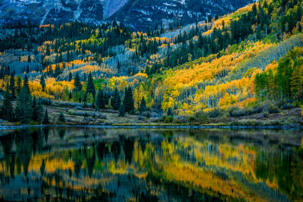 Autumn Color von Wanghan Li