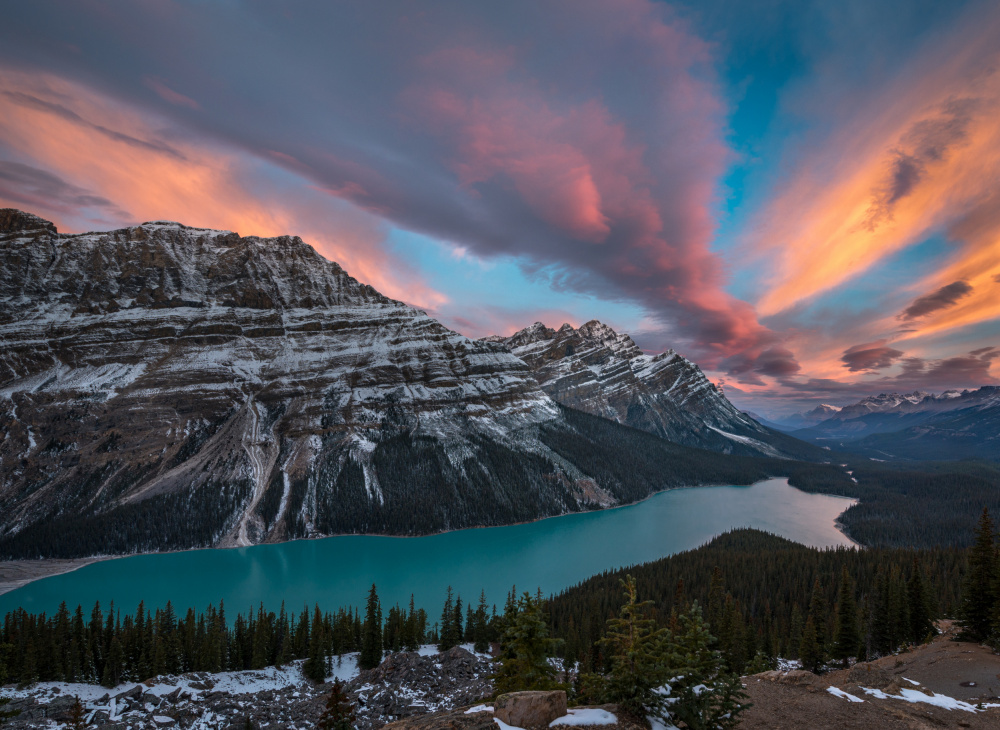 Just before sunrise - Peyto Lake von Wanghan Li