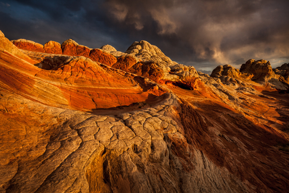 Storm Coming von Wanghan Li