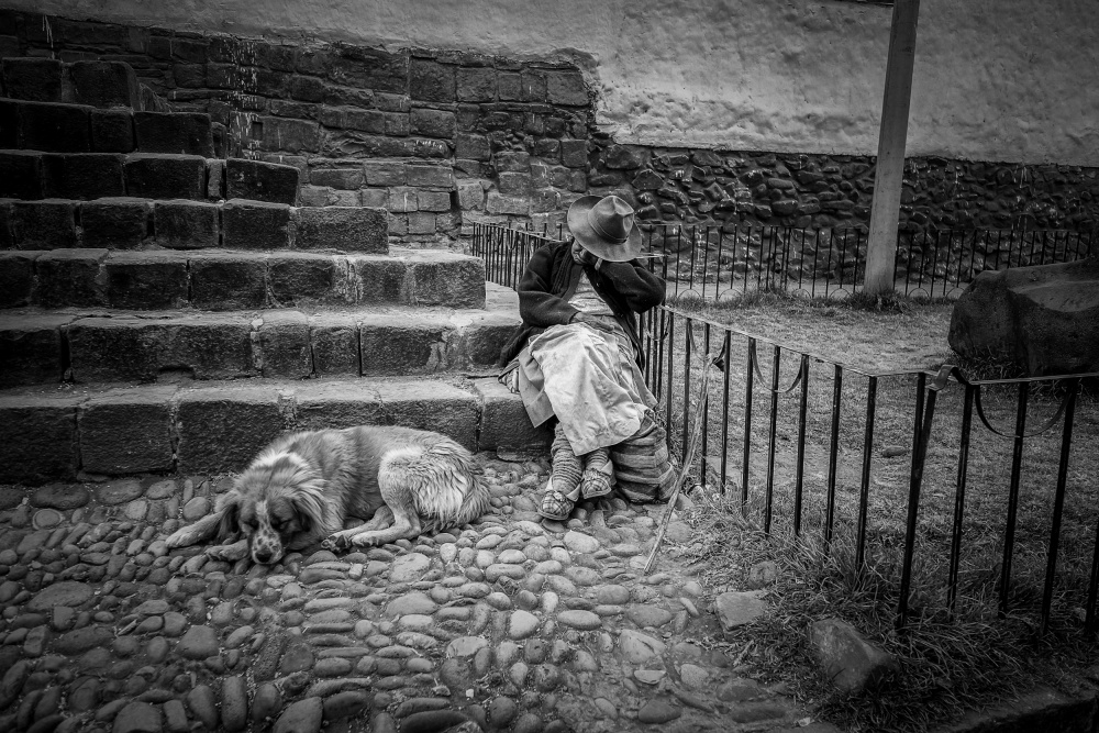 Portrait of a Woman and her Dog von Wave Faber