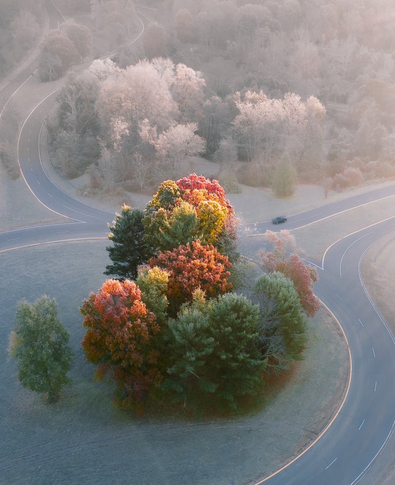 Frosty Autumn Morning von Wei (David) Dai