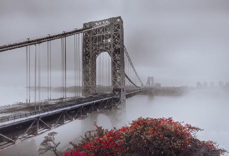 GWB in Autumn