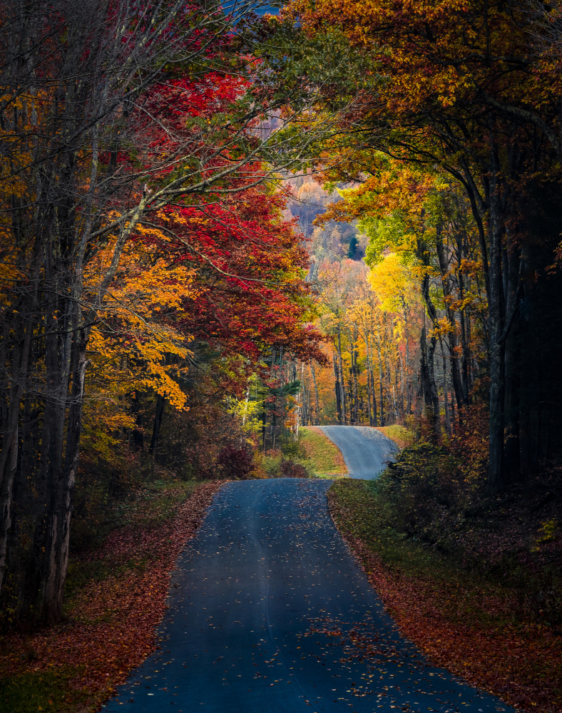 Autumn colors von Wei (David) Dai