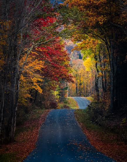 Autumn colors