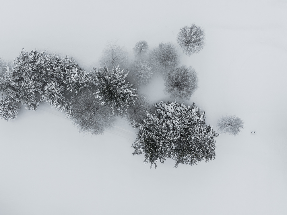 Winters embrace: Ariel view of snowy trees von Wei (David) Dai