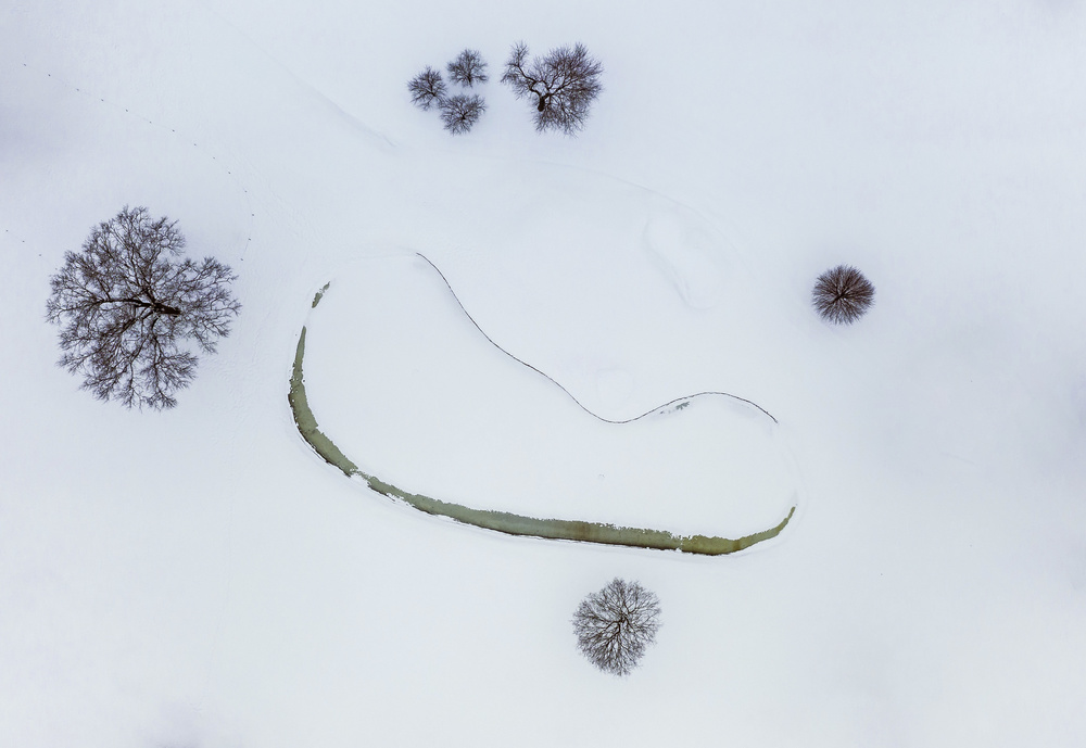 Guardians of a Winter pond von Wei (David) Dai