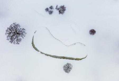 Guardians of a Winter pond