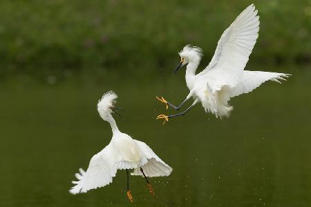 attack from above