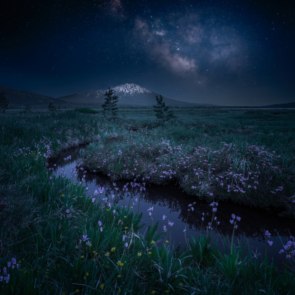 Wildflowers and Snow Mountain Under Milky Way von wei lian