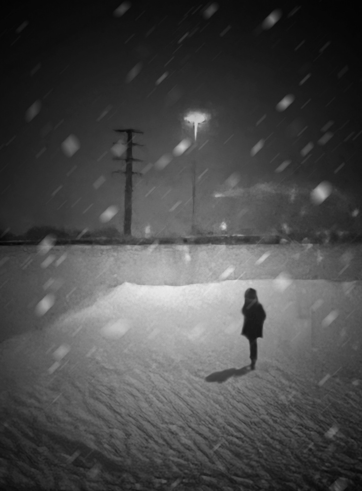 A snowy evening von Weiwei