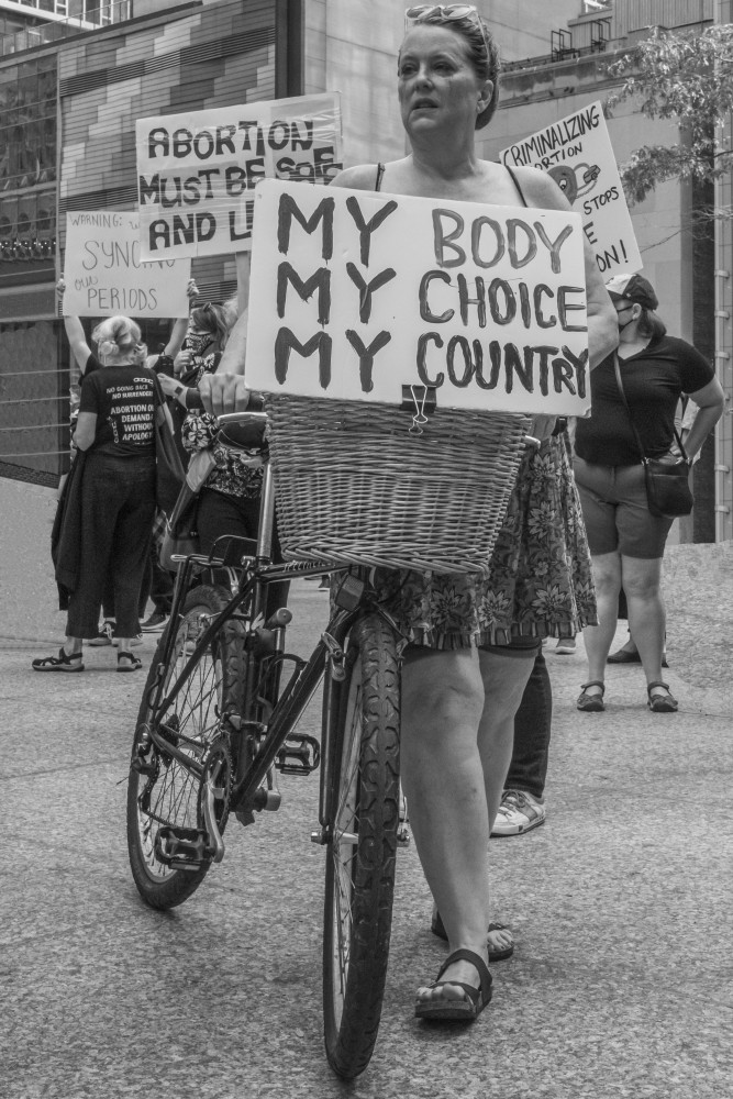 My Body, My Choice von Wendy Fischer Hartman