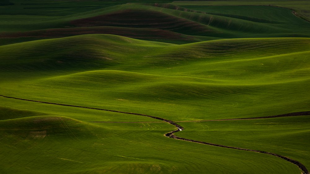 Rolling hills at Palouse von Wendy Xu