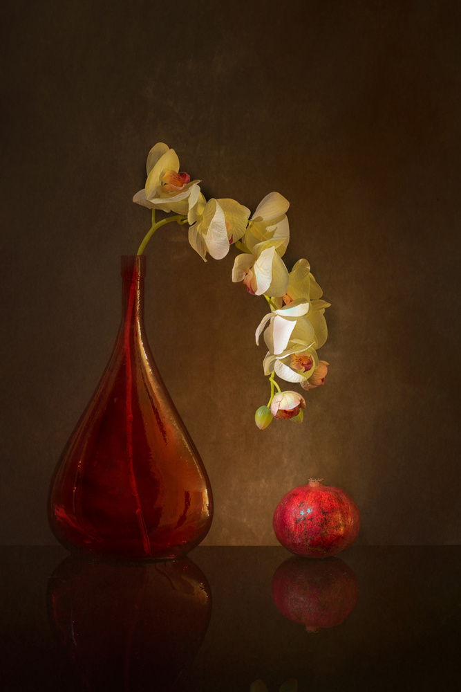 Butterfly Orchid and pomegranate von Wendy Xu