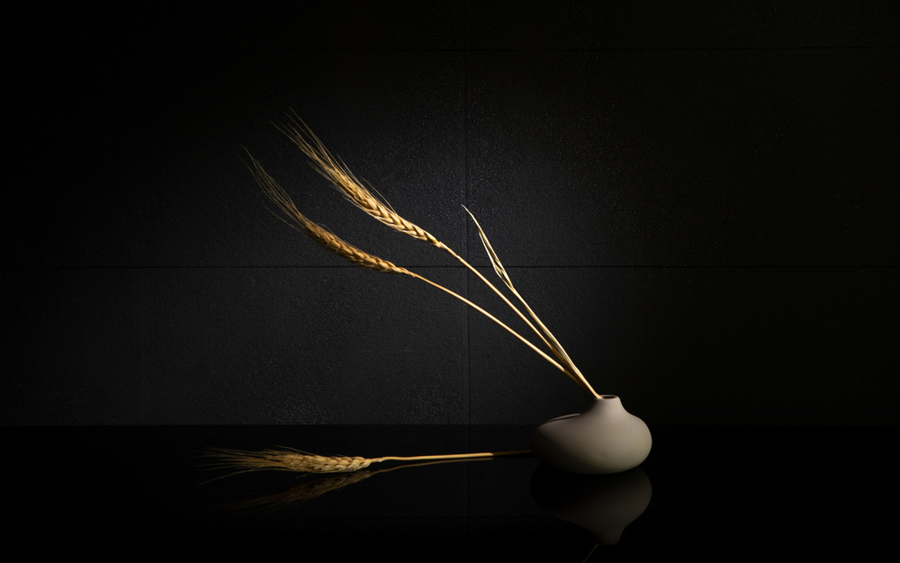 Wheat von Wendy Xu