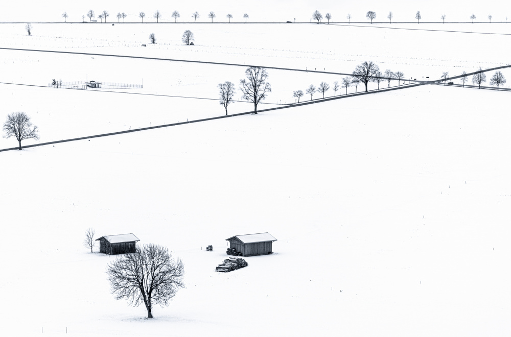 Field in Winter von Wenjin Yu