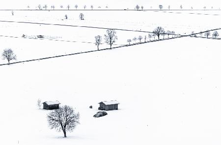 Field in Winter