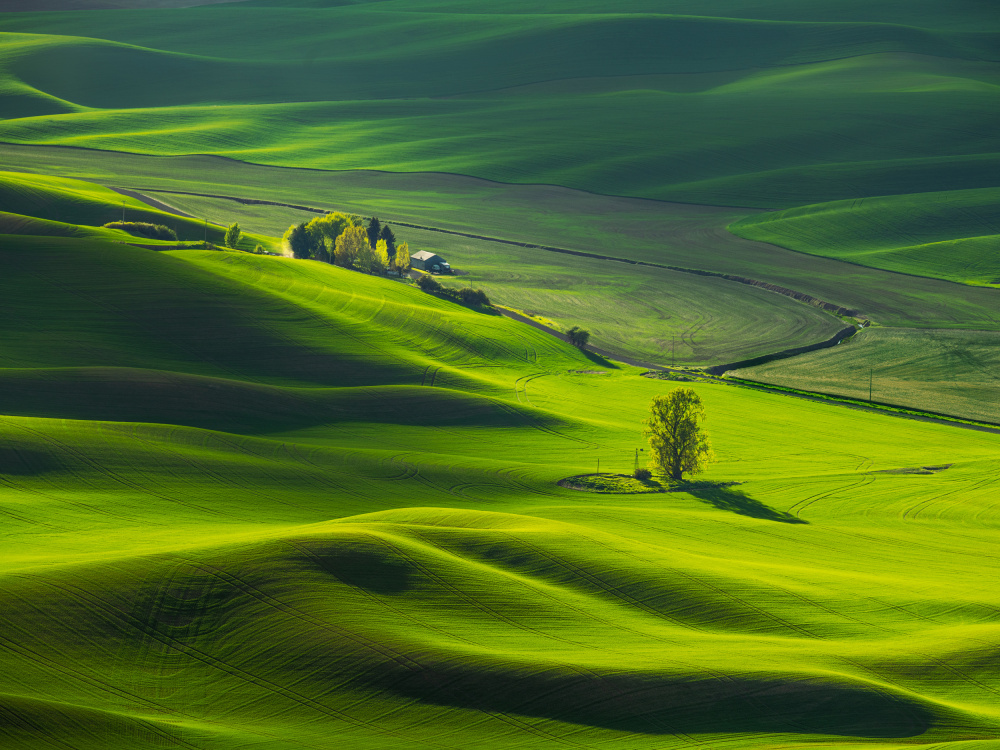 Good Morning, Palouse von Wenjin Yu