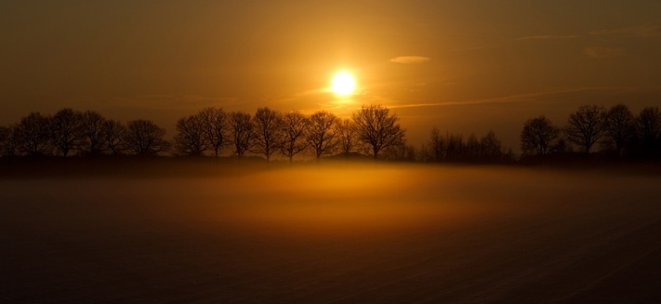 Fog von Wieteke De Kogel