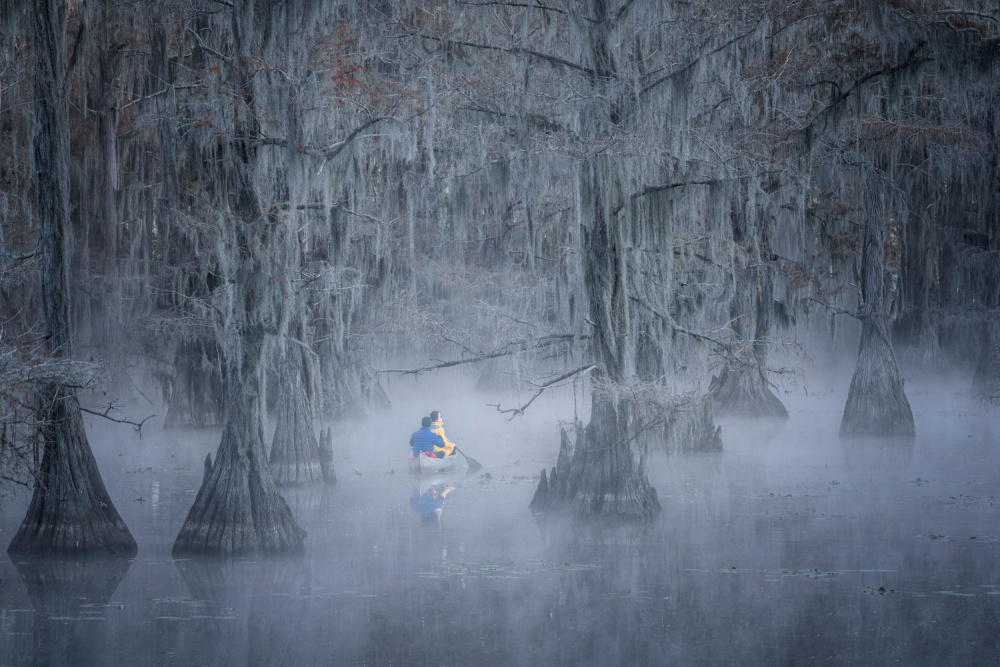 Caddo lake von Willa Wei