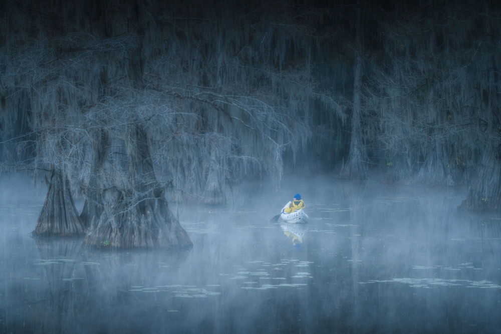 Caddo Lake von Willa Wei