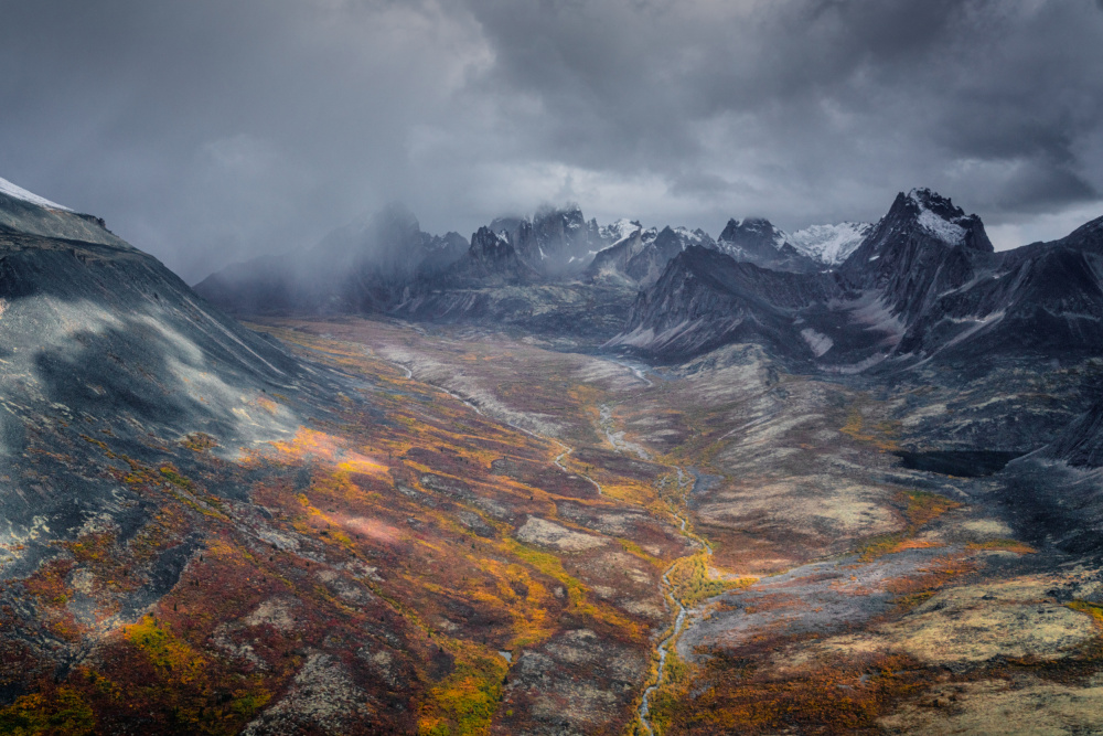 Fallcolor at Arctic land von Willa Wei