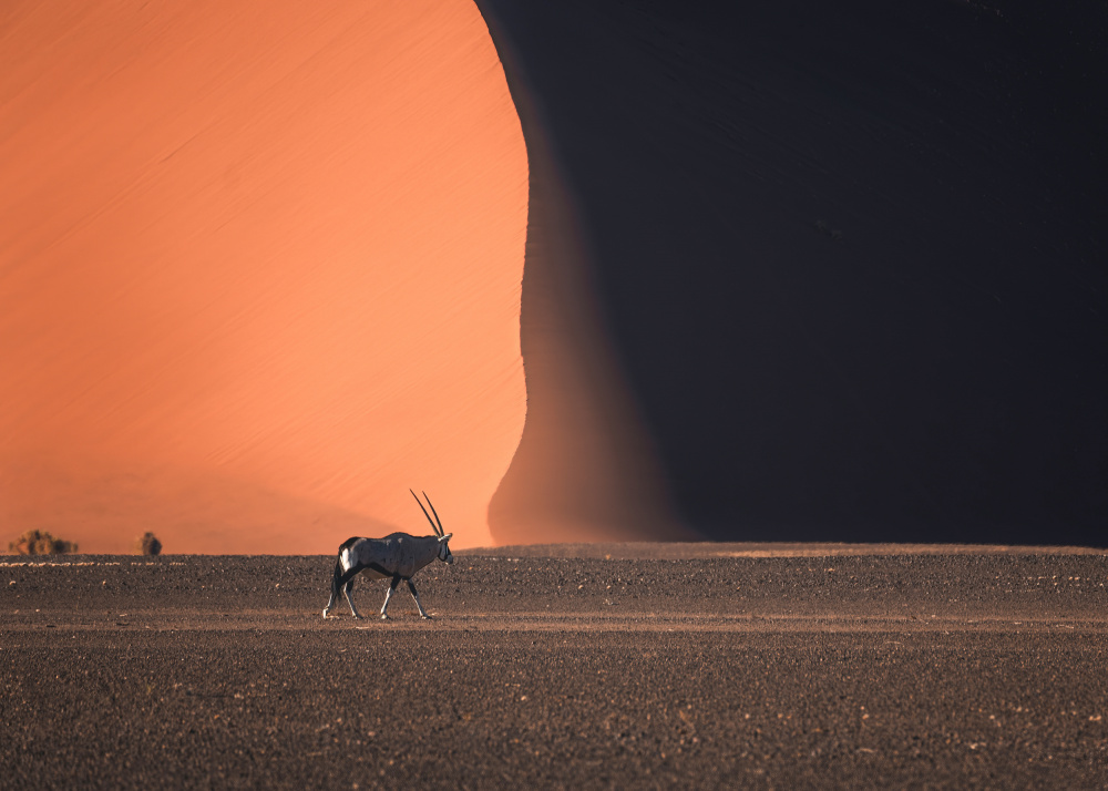 Namibia Impressions von Willa Wei