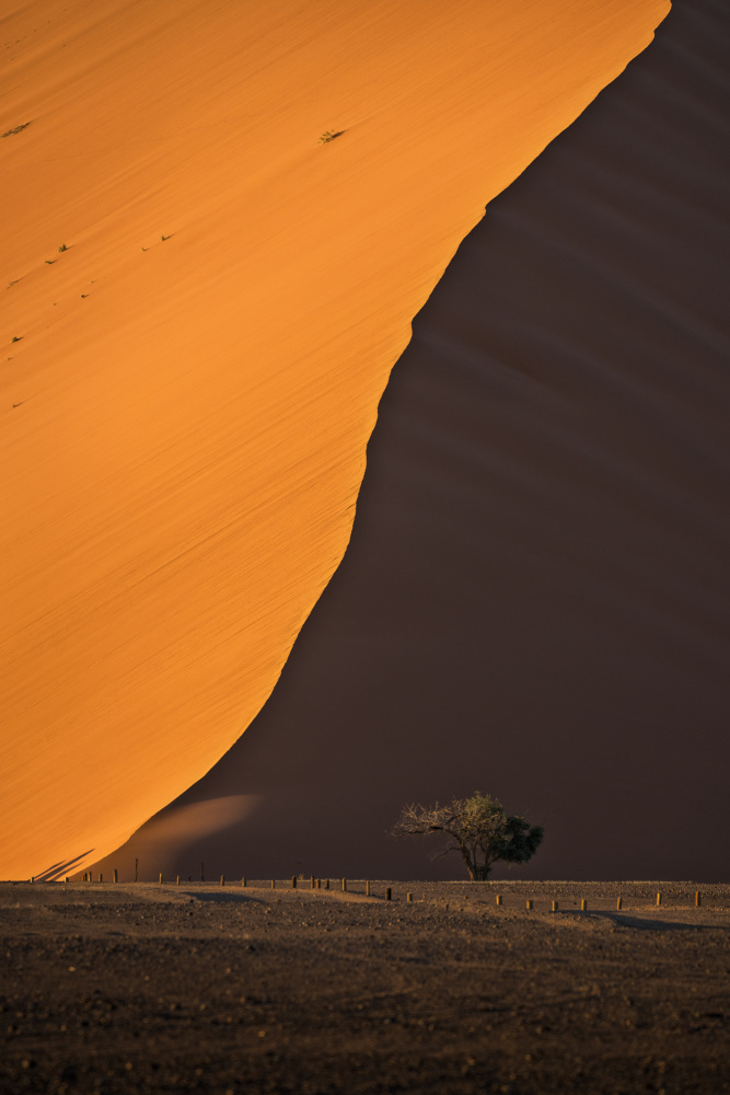 Namibia Sand Dunes von Willa Wei