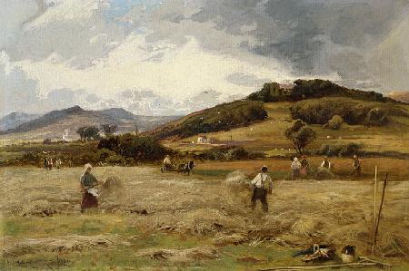 Haymaking