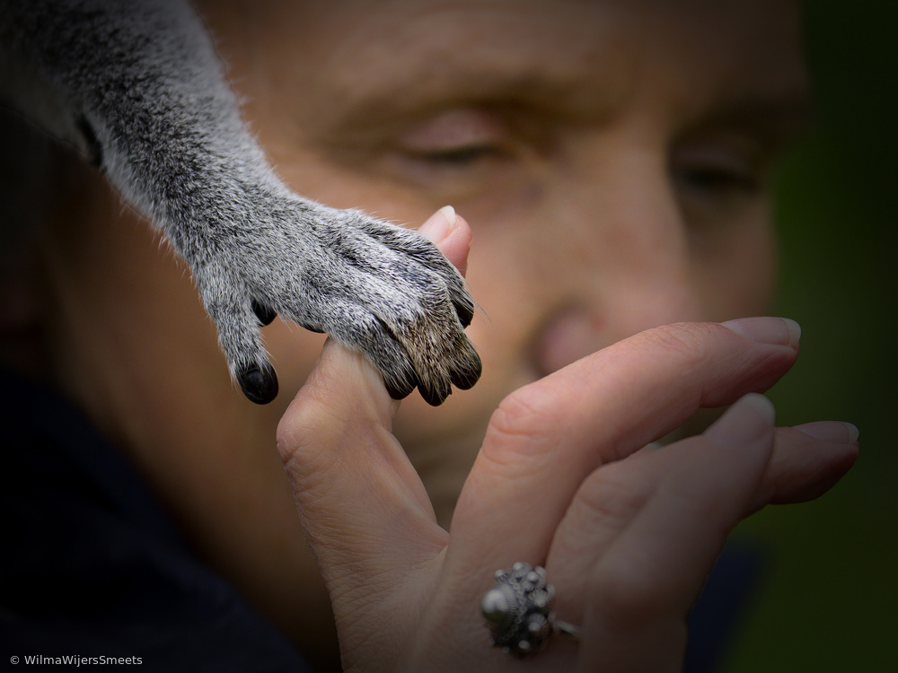 Take my hand. von Wilma Wijers Smeets