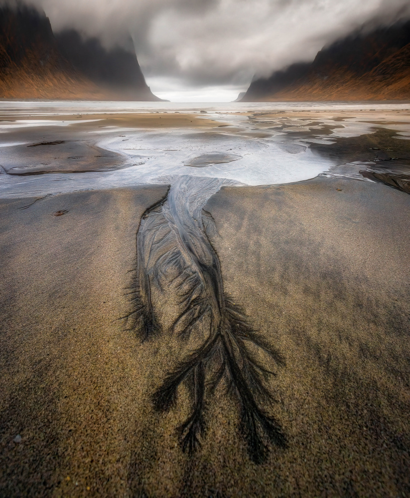 On the beach von Wim Denijs