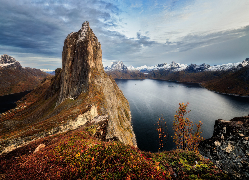 The Needle von Wim Denijs