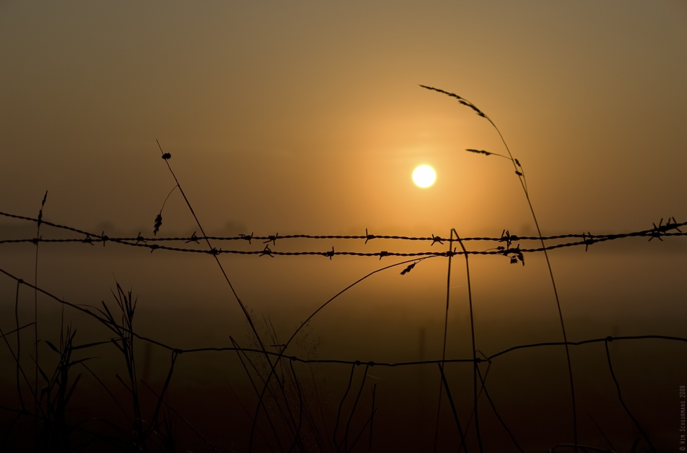 Morning Glow von Wim Schuurmans