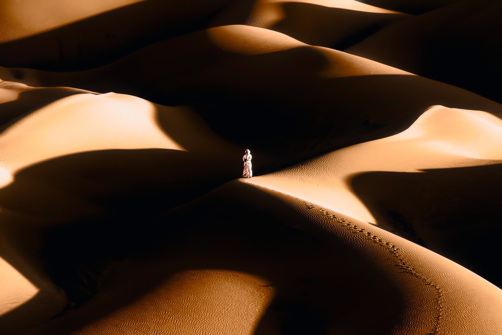 The Desert Walk von Wissam Shehade