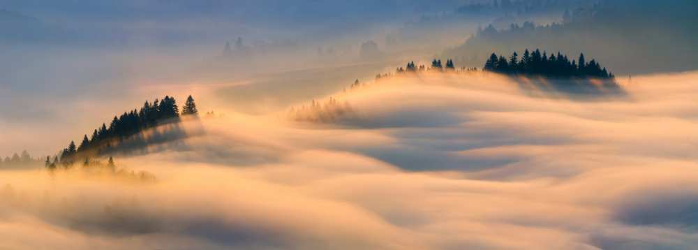 Misty morning von Wojciech Kruczynski