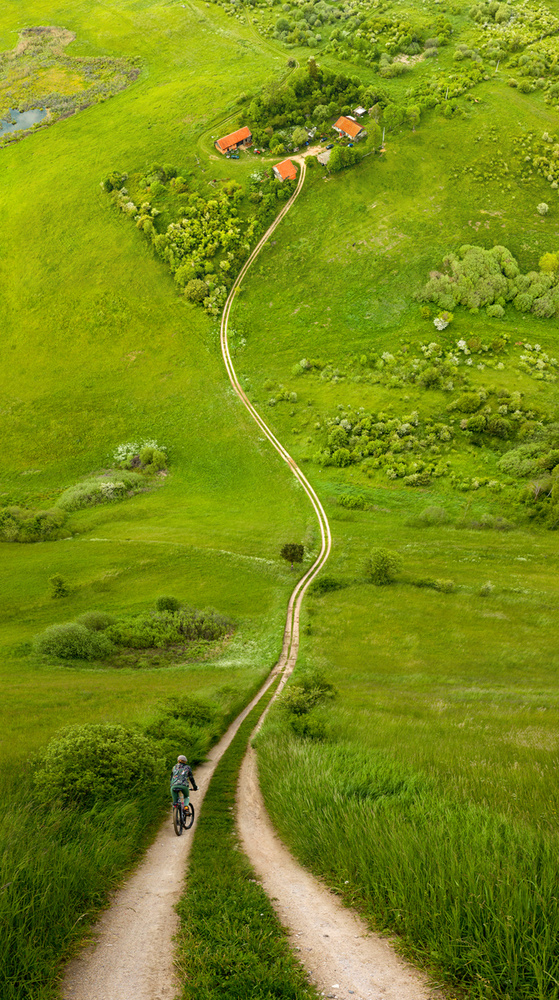 Amongst meadows von Wojciech Kruczynski