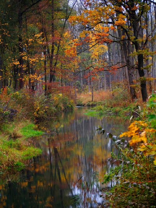 fall von Wolfgang Simlinger