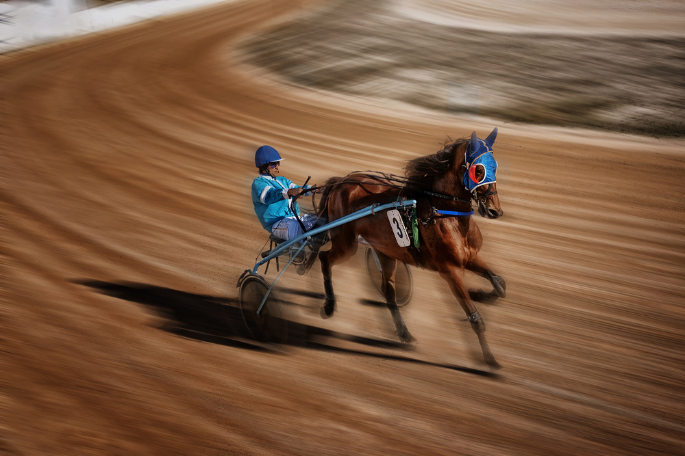 Horse Races in Menorca von Xavier Garci