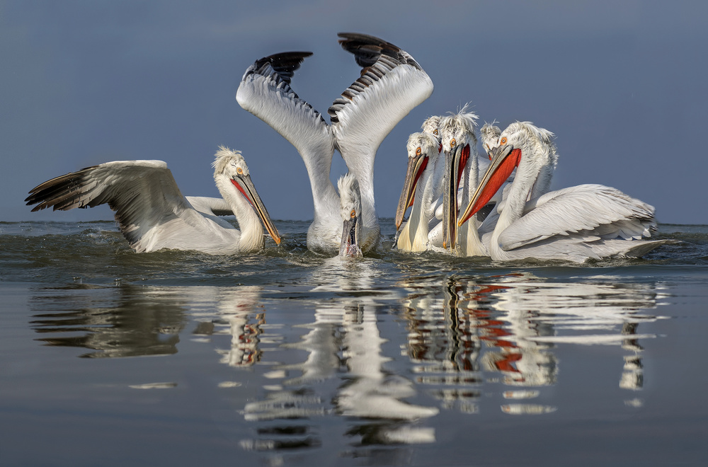 Fishing scene von Xavier Ortega